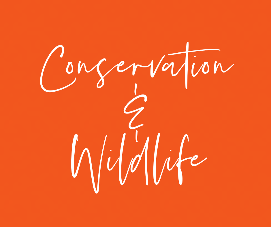 Conservation & Wildlife
Wednesdays 2:00-4:00